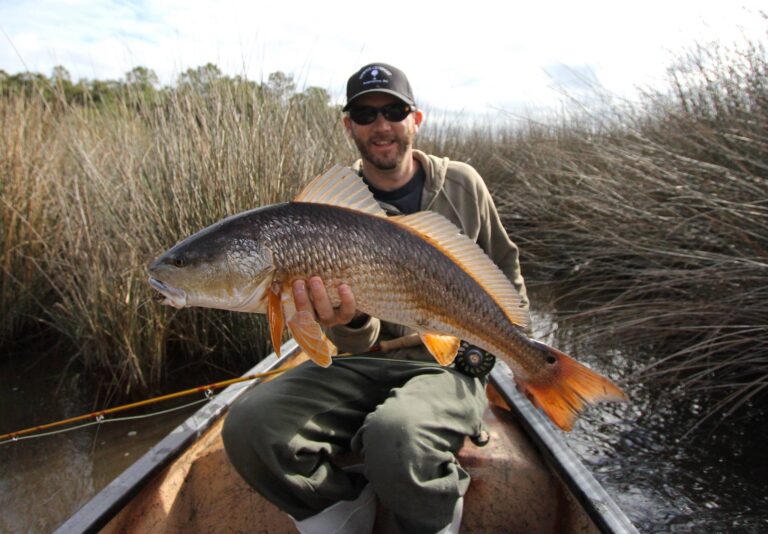 Gorgeous South Carolina Redfish on Fly