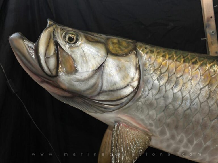 Tarpon Fiberglass Taxidermy as REAL as a skin mount!