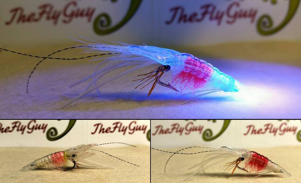 Shrimp Fly Fishing Patterns