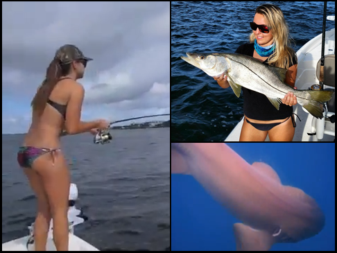 Haley and Jessica with Snook, Jacks, Sharks!