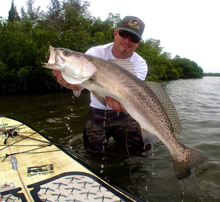 Inshore Slam!  Logic Lures and Bote get it done!