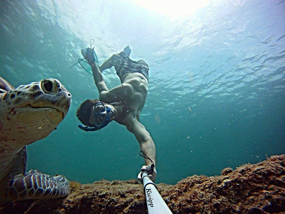 Kevin Swims with Green Turtles