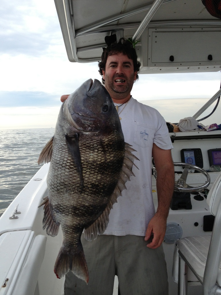 Dave Walker, Delaware Sheepshead State Record