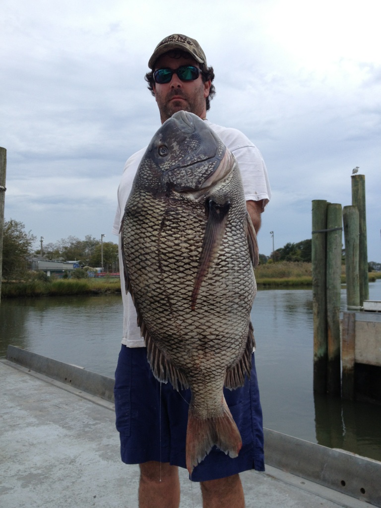 Dave Walker, Delaware Sheepshead State Record