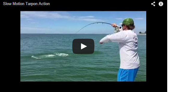 EPIC Tarpon Battle in Slow Motion with Capt. Bryon & Capt. Greg