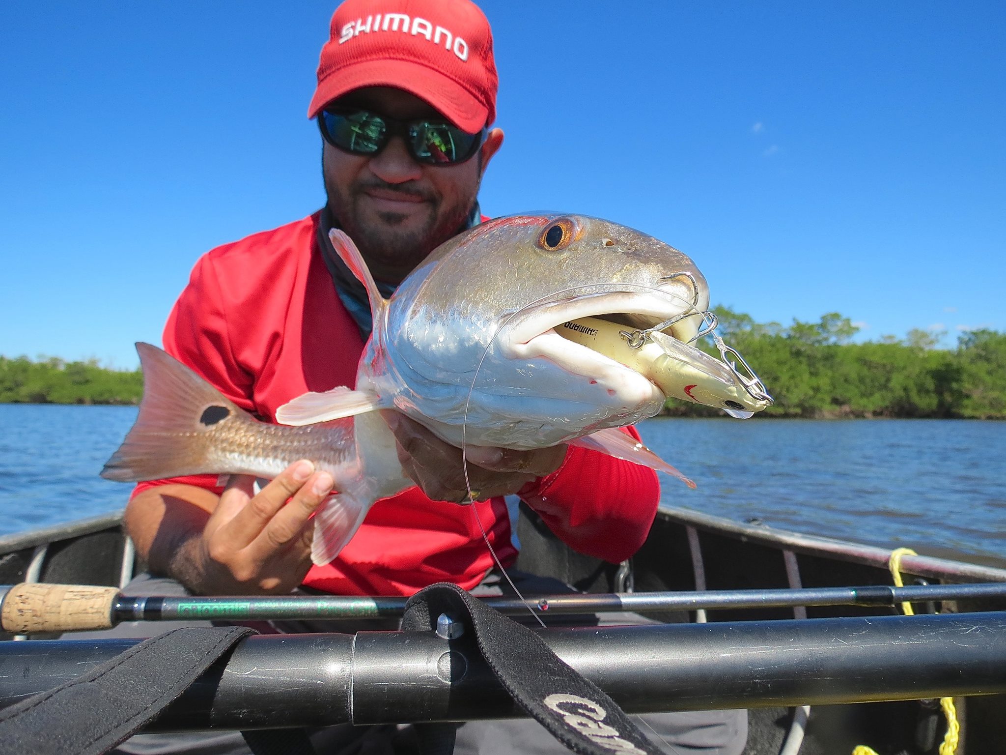 The Shimano Suspending Waxwing 88 catches Southwest Florida's elusive Redfish.