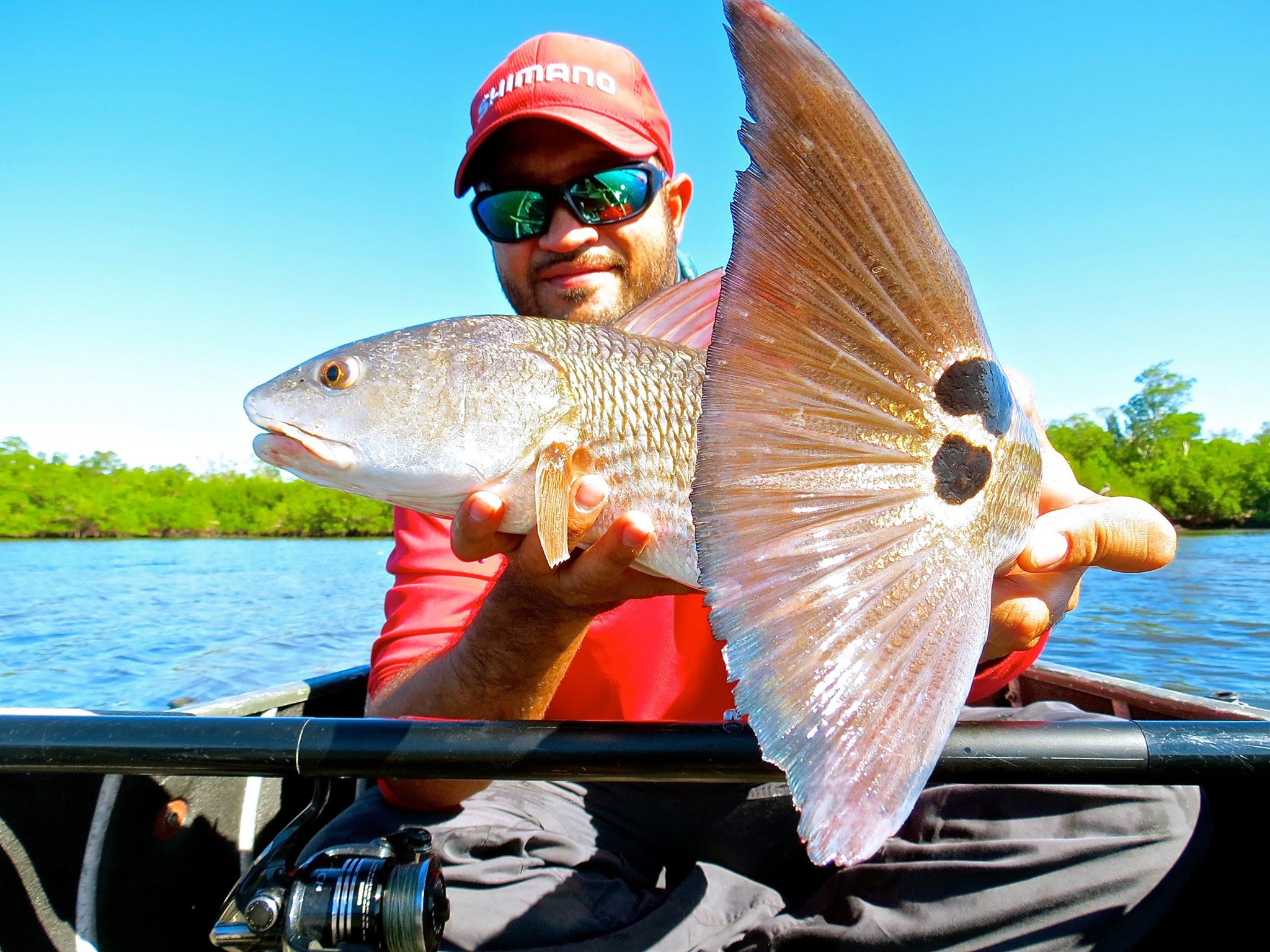 The Shimano Suspending Waxwing 88 slayed the fish in SW Florida with Snook, Redfish and Trout falling victim!