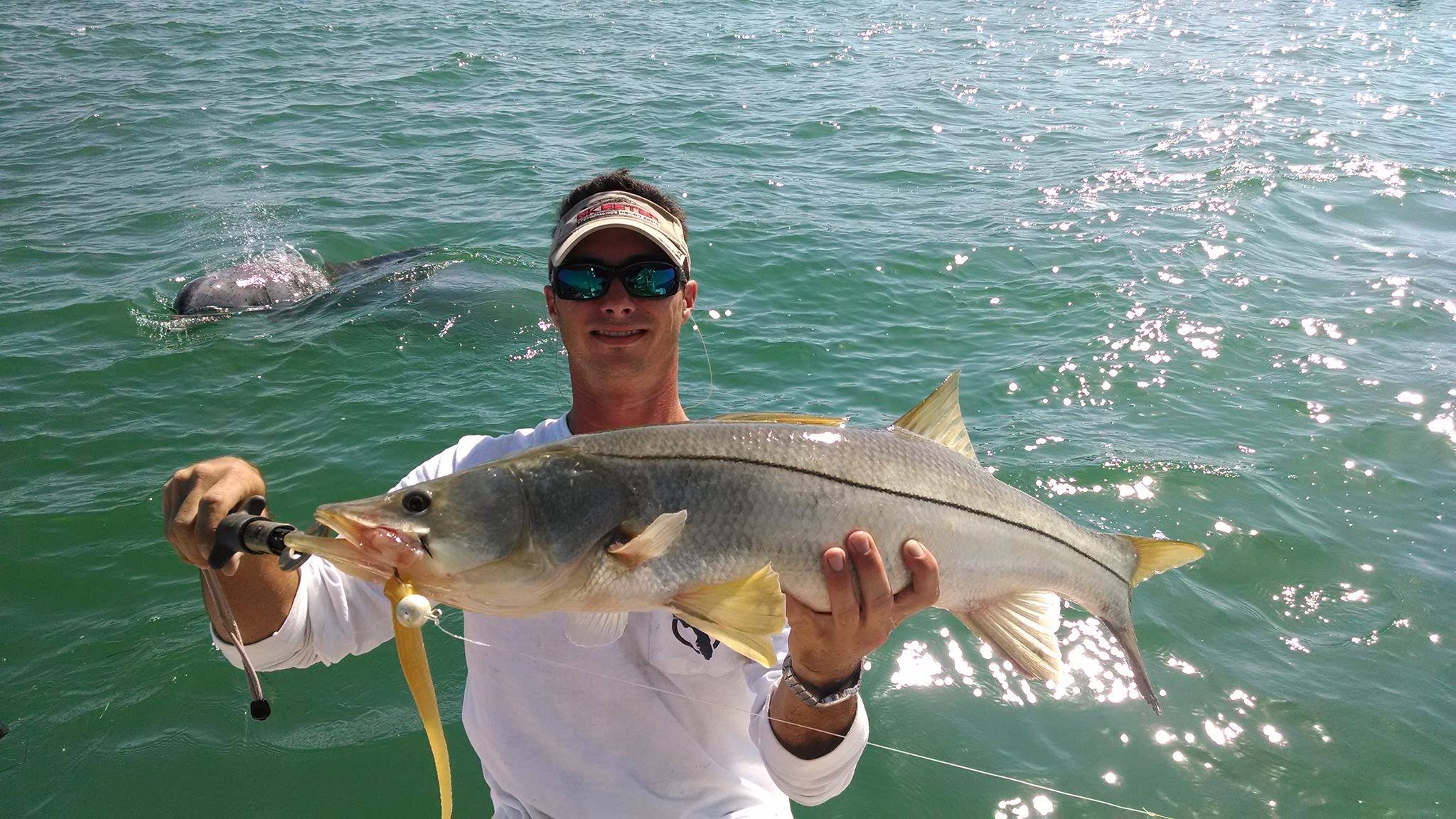 This is a first! Cliff was Photobombed by a Porpoise while switching it up with some artificial Hogy Lures. He had to trick the creeper to keep him from making a Snook Snack of this beauty...LOL, great job on the release, Cliff! 