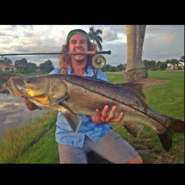 You NEVER know what is going to chomp! Cody was looking to play with some small poons, broke out the 9wt Gloomis /BVKII reel and starting letting a red and white tarpon bunny fly..end result?? His biggest snook to date 42" and on fly! BOOM! That's some Fort Myers goodness right there! Nice work, Cody!!!