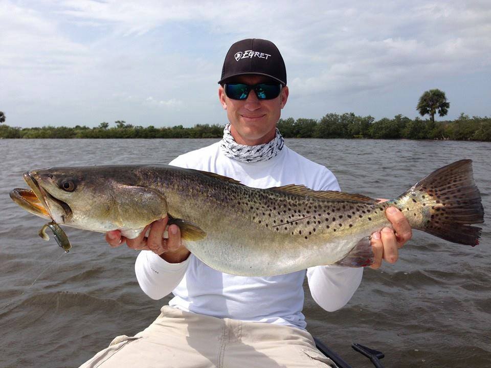 LIVE ACTION!!! Chris Cenci ( Slayer Inc Lure Company ) and Tommy Derringer (Inshore Adventures Fishing Charters ) are pre-fishing for the Power Pole Fla Pro Redfish Series in Titusville right now, nailed this 9.5lb. Gator on top of 6 or 7 over 5lbs today already... Chris says, "still fishin...zzzzzzzzz..just threw a 6lber back....". Fish 'em up GENTS!!! They are nailin' 'em on the SST Venice Glow found here: http://tinyurl.com/ka7vrdg 