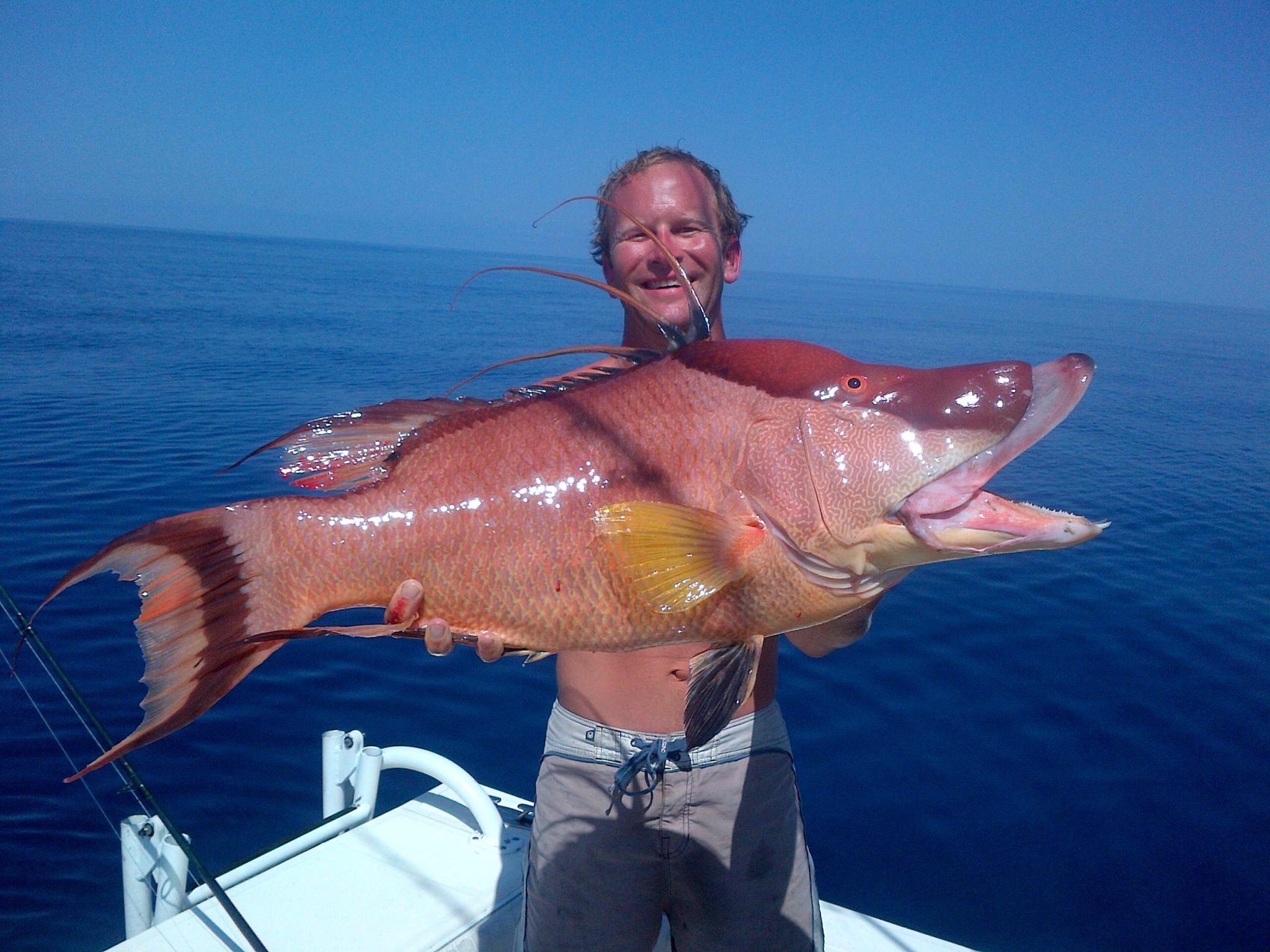 Let's switch it up with some offshore action! Bringing home the bacon! Monster Hogfish nabbed by Eric, Logan and Capt. Jason Stock of Jmsnookykayakcharters.com WOW!!! Get the full story here: http://www.skifflife.com/?p=699352