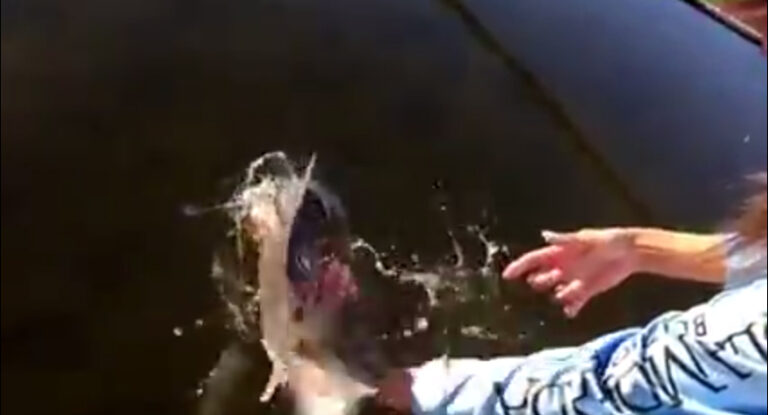 Slow Motion Redifish Release with Capt. Krista and Capt. Scott Owens in Georgia