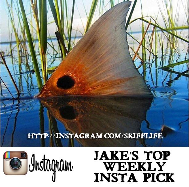 Jakes Pics! Tailing redfish sent in by @tvallejo93 look top vote this week with almost 1500 "Likes"...Great shot..