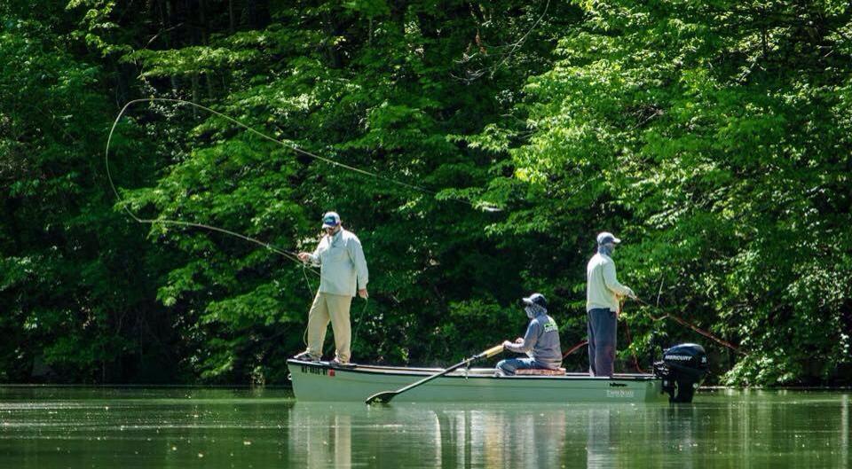 Towee Boats