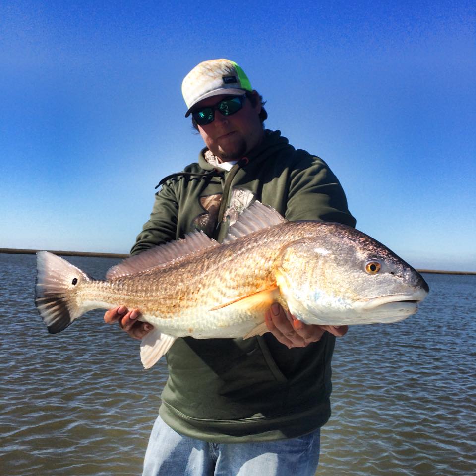 Louisiana-redfish