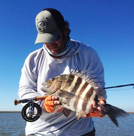 sheepshead-louisiana