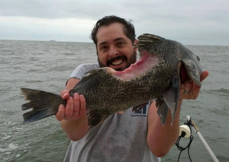 black-drum-shark-bite-still-alive