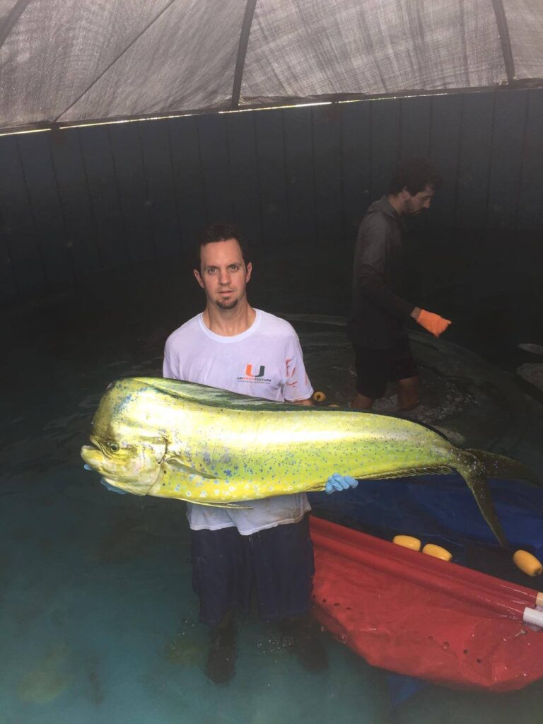 Mahi Fishing Research Shows Massive Growth