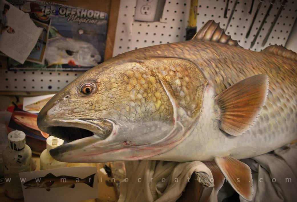 Bull Redfish by Marine Creations