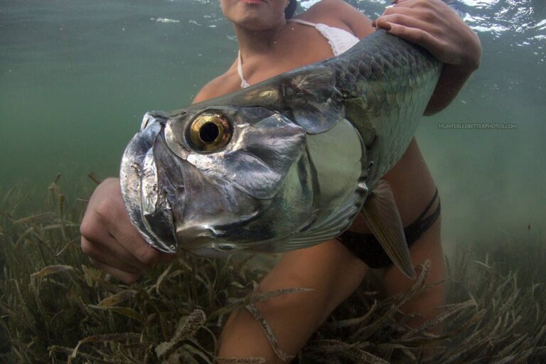 Tarpon Selfie