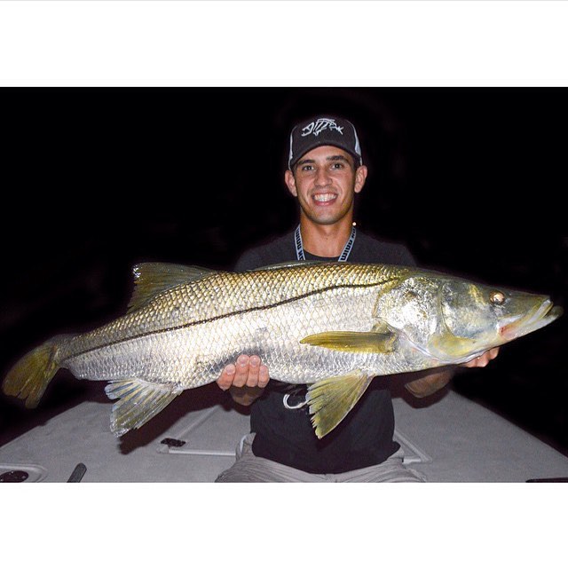 Nice snook caught by…