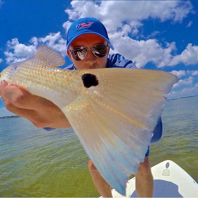 Nice redfish tail @p…