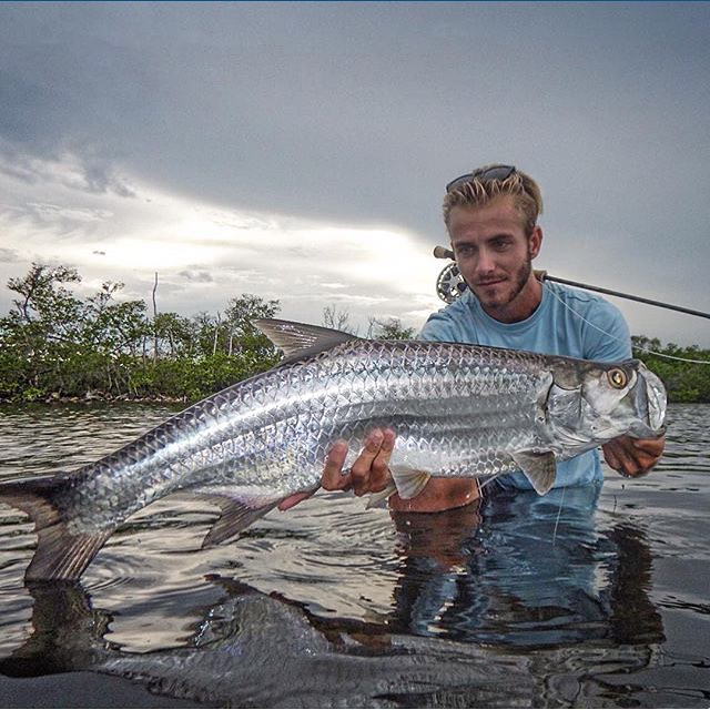 Nice tarpon in the f…