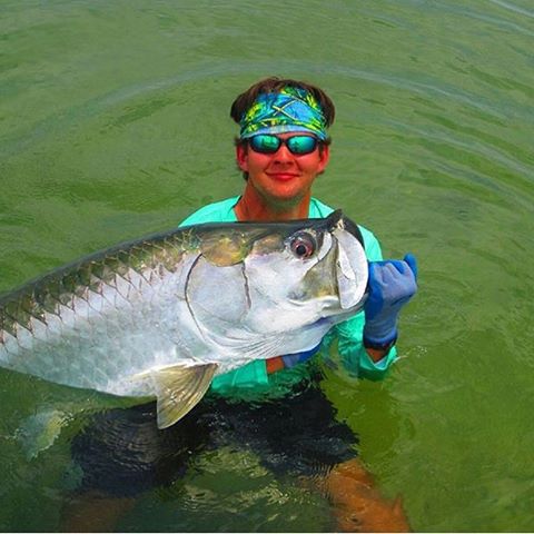 Nice tarpon @tvallej…