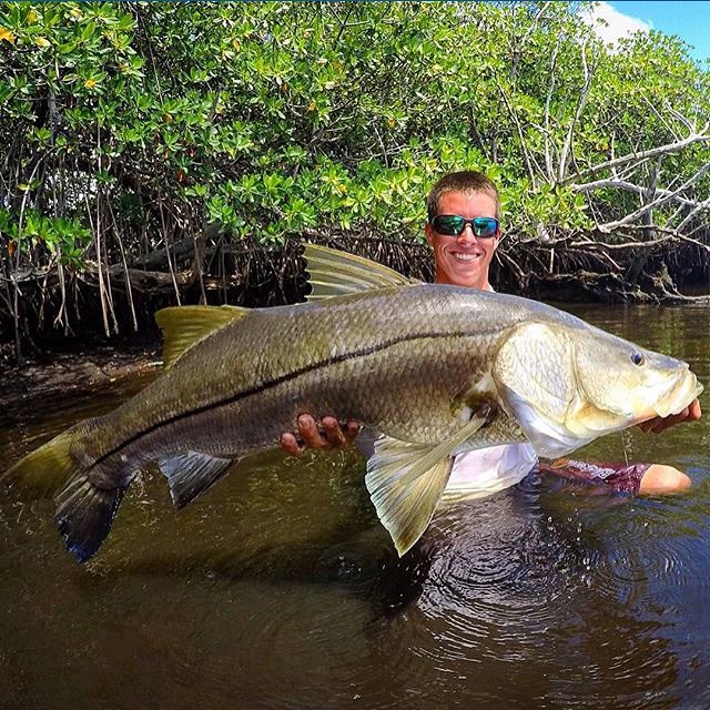 Monster snook from @…