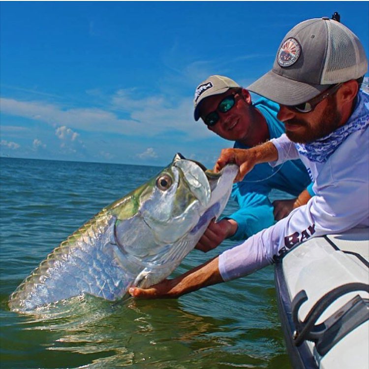 Nice tarpon @captrya…