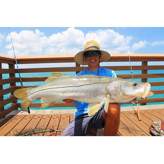 Nice snook from @tys…