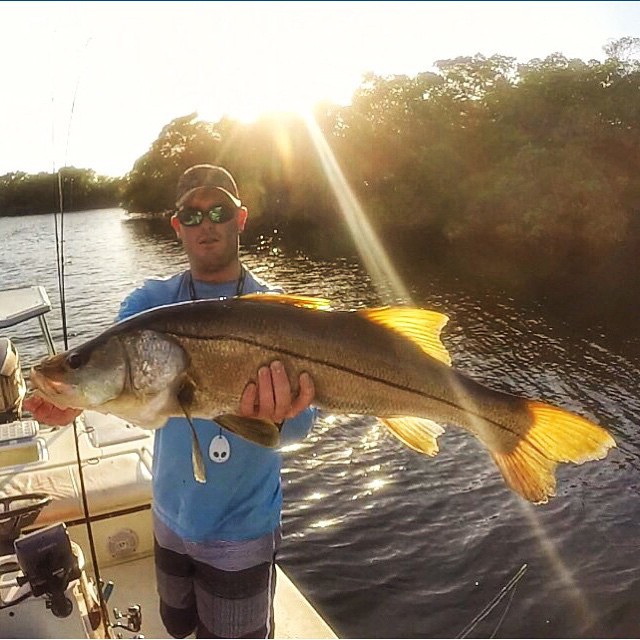 Amazing snook @clayt…