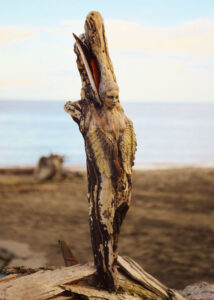 Debra Bernier driftwood sculptures - Click Here for her Etsy store.