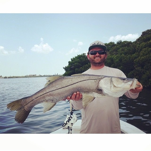 Great snook @_blackp…