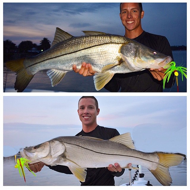 Great snook @ryannit…