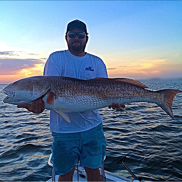 Huge 49″ bull @Evan….