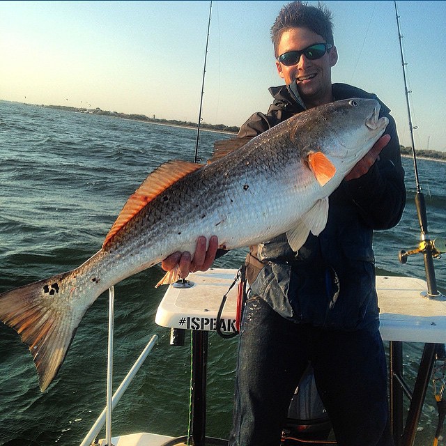 Stunning redfish @is…