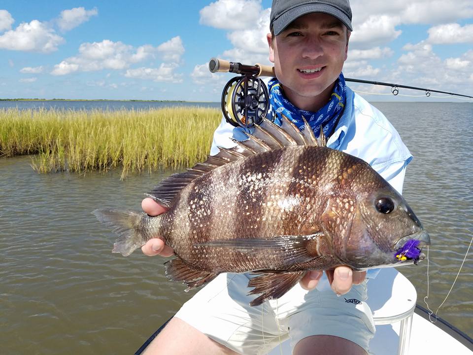 Sheepshead on fly, only in Louisiana with Capt. Ron Ratliff.