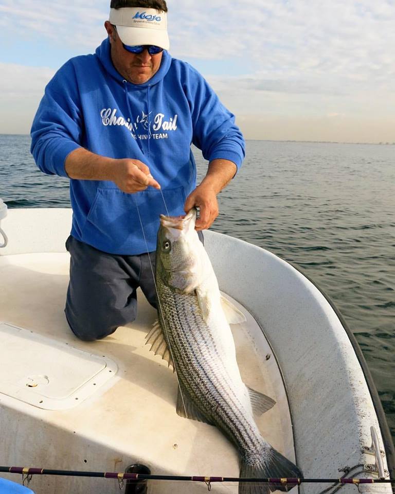 Capt. Joey Leggio bringing in a great striper in Oceanside, NY.