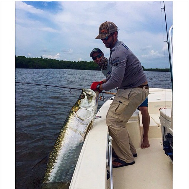 Nice tarpon out of t…