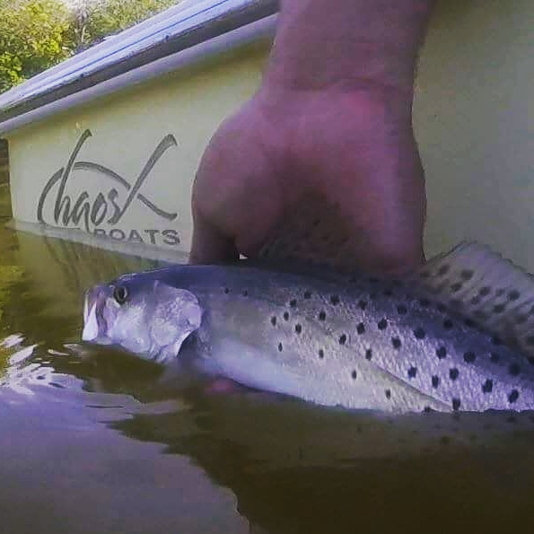 Everglades Fishing