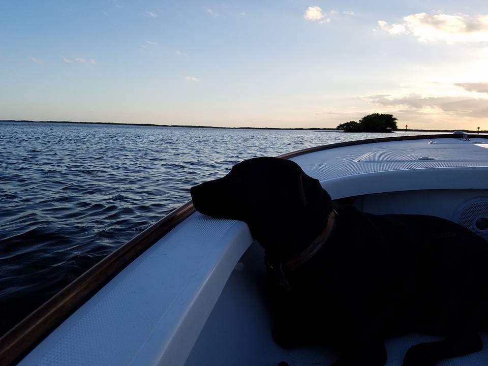 Everglades Fishing