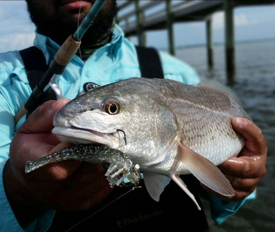 Port St. Lucie, Florida Redfish