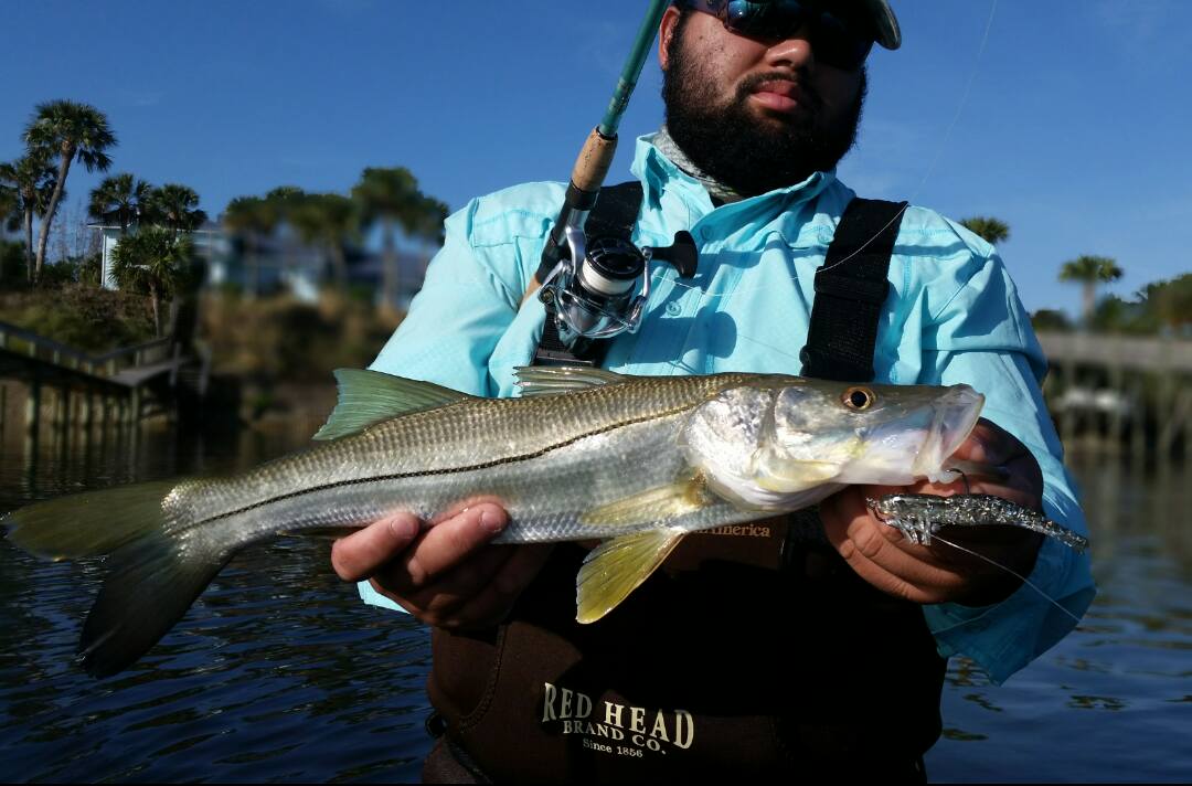 Port St. Lucie, Florida Snook