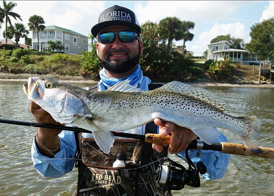 Port St. Lucie, Florida Gator Trout