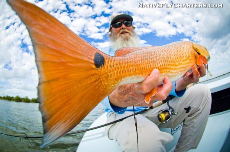 There’s gold in ‘dem Redfish!