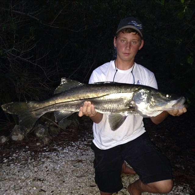 38″ snook sent in by…