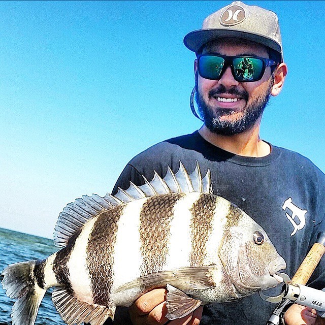 Nice sheepshead @bmc…