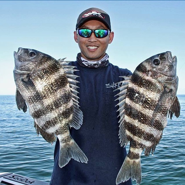 Double sheepshead se…