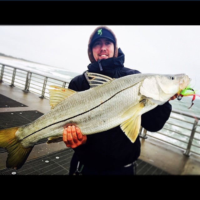 Sweet 40″ snook @dan…